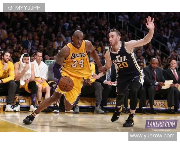 科比退役之际：回顾传奇生涯与湖人王朝的辉煌岁月