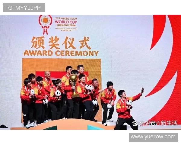 成都乒乓球队的速度之美与技术探秘乒乓球运动的魅力与发展之路